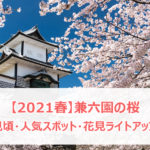 【2021春】兼六園の桜の見頃・開花予想・人気スポット10ヵ所や花見ライトアップ